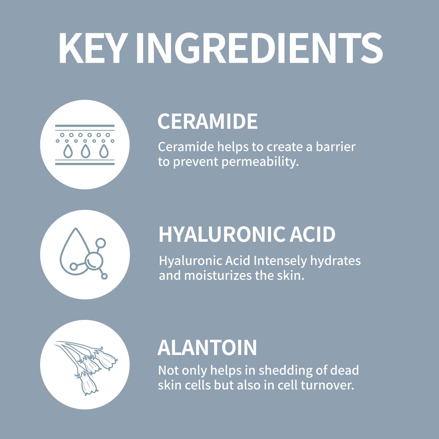 Ceramide Micro Derma Cleanser